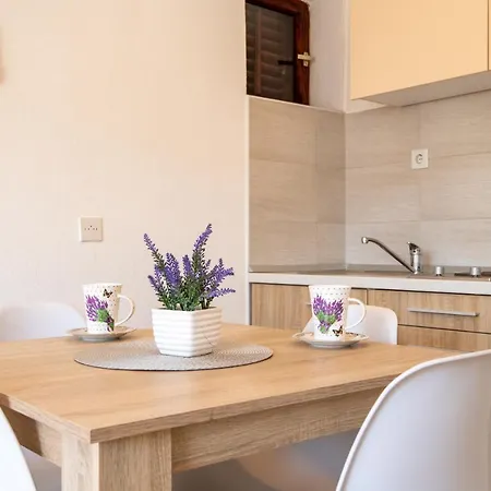 Apartment Frane *